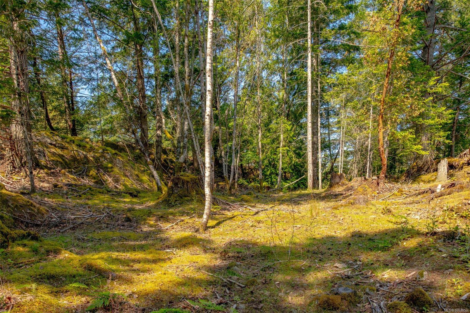 Lasqueti Island, BC V0R 2J0,1 Main Rd