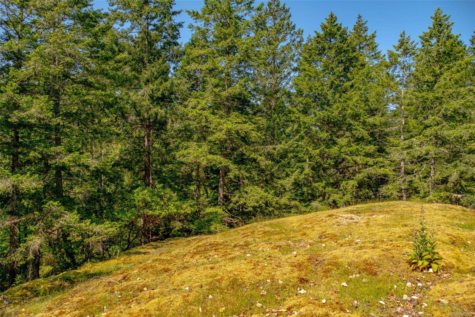 Lasqueti Island, BC V0R 2J0,1 Main Rd