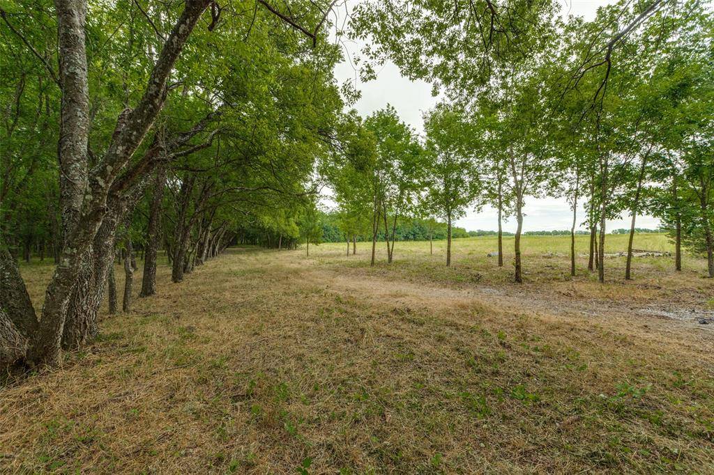 Wolfe City, TX 75496,3805 County Road 3805