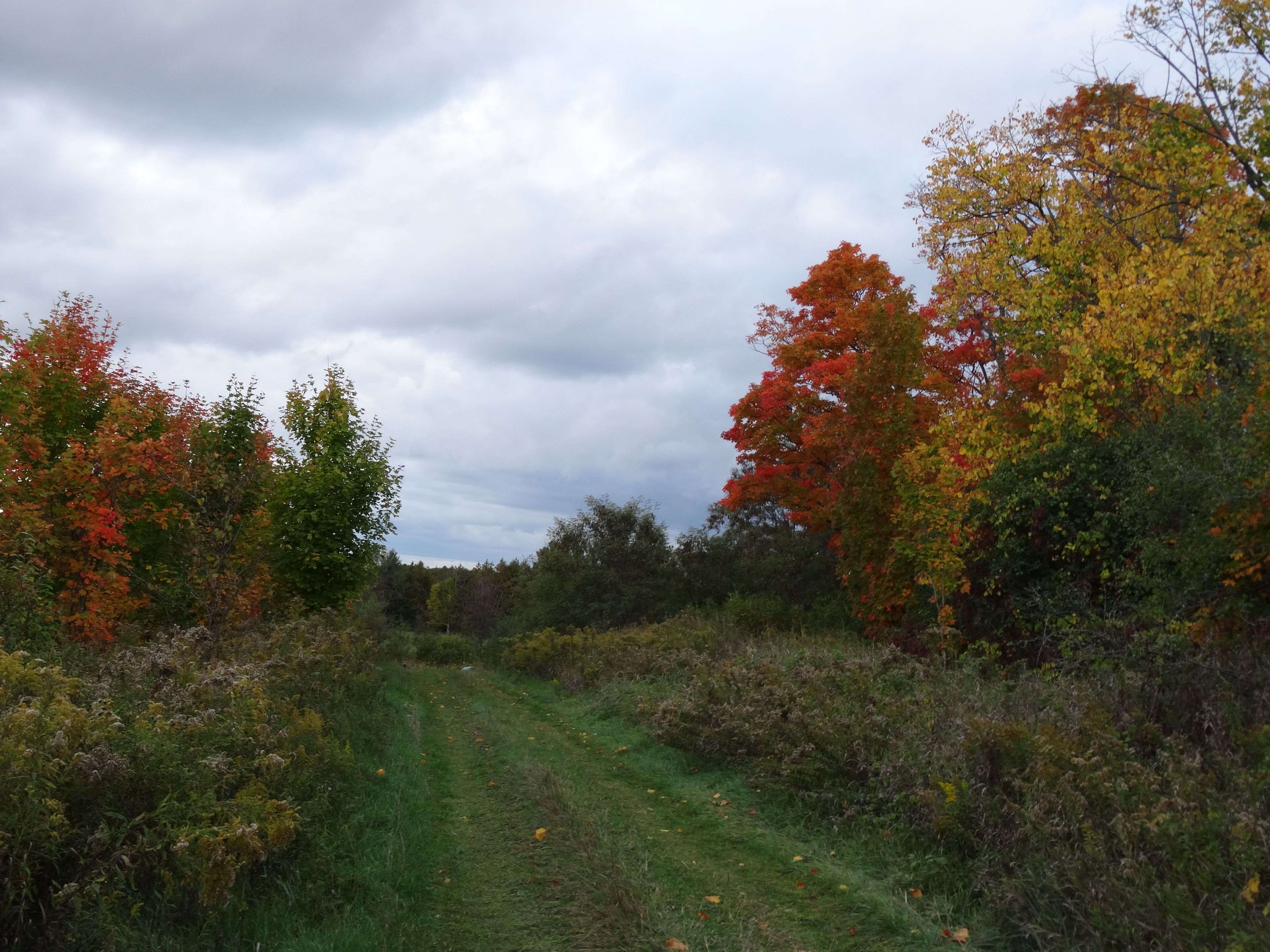 10400 and 10800 6th Concession, Uxbridge, ON L9P 1R2