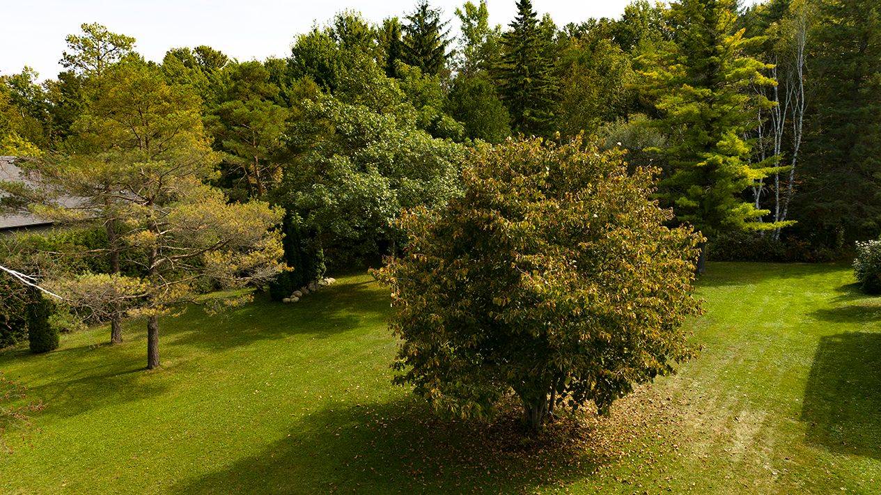 Springwater, ON L9X 0V4,1083 CARSON RD