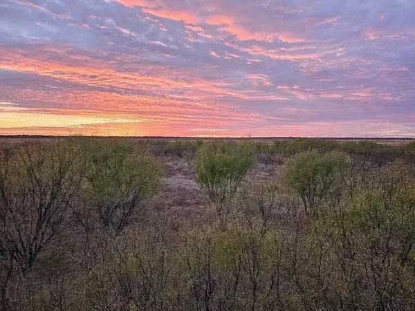 No City, TX 79520,TBD FM 540