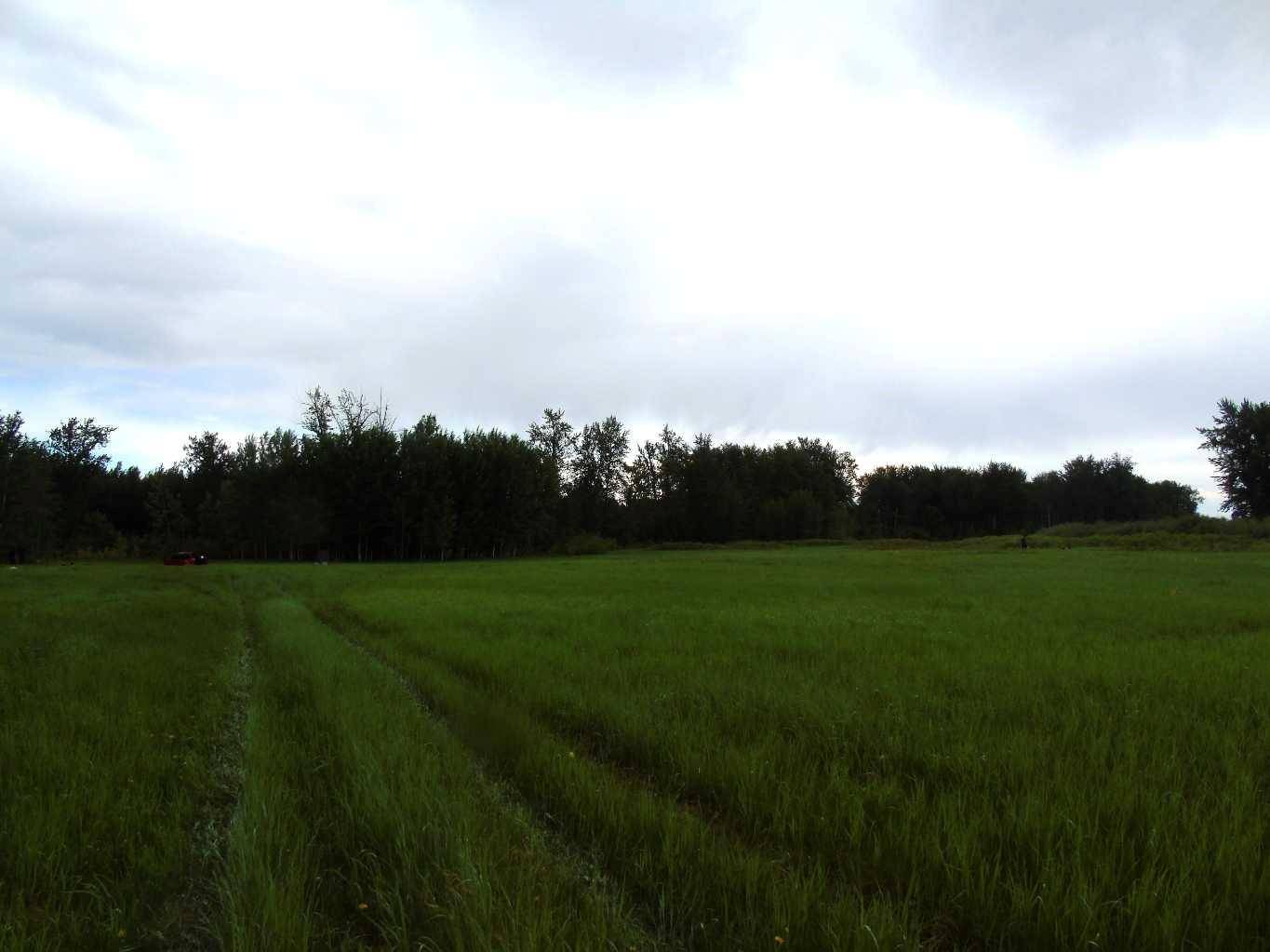 Rural Big Lakes County, AB T0G 1K0,Township Road 731A