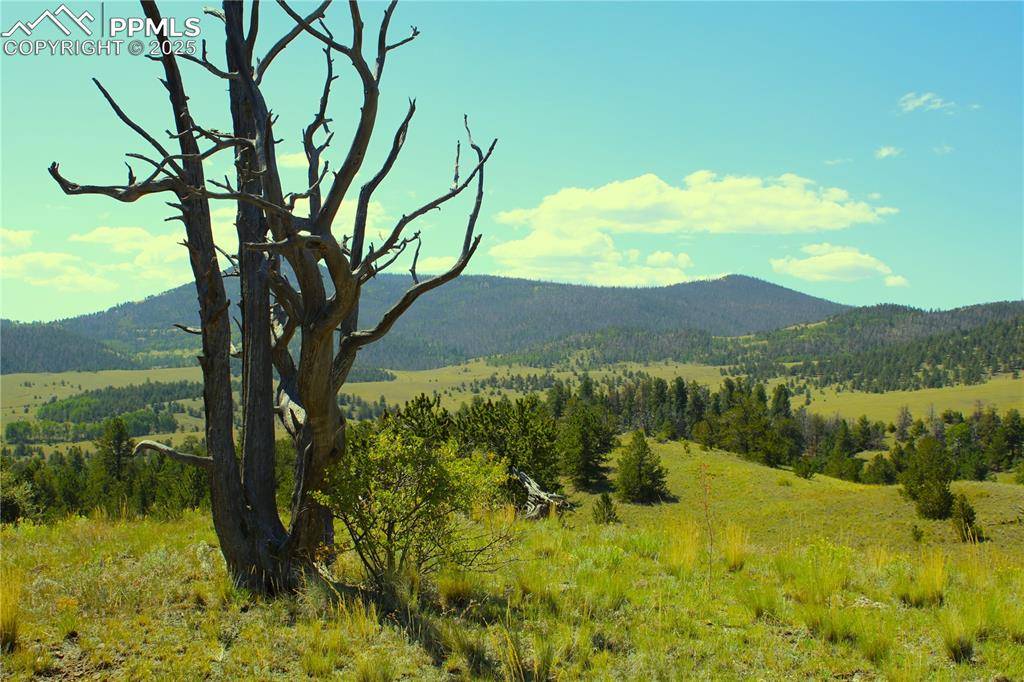 Guffey, CO 80820,State HWY