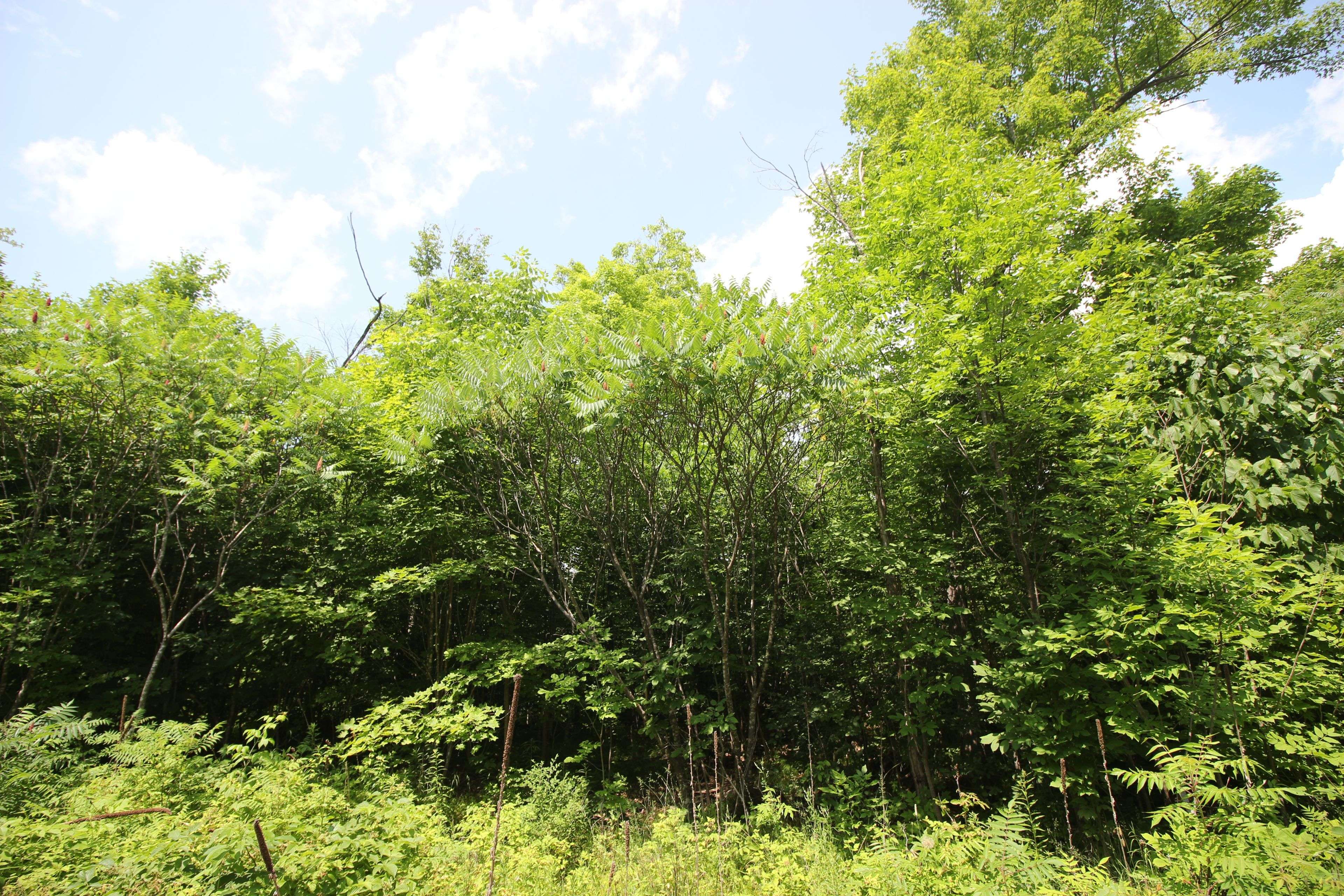 Mississippi Mills, ON K0A 2X0,01 CARBINE RD