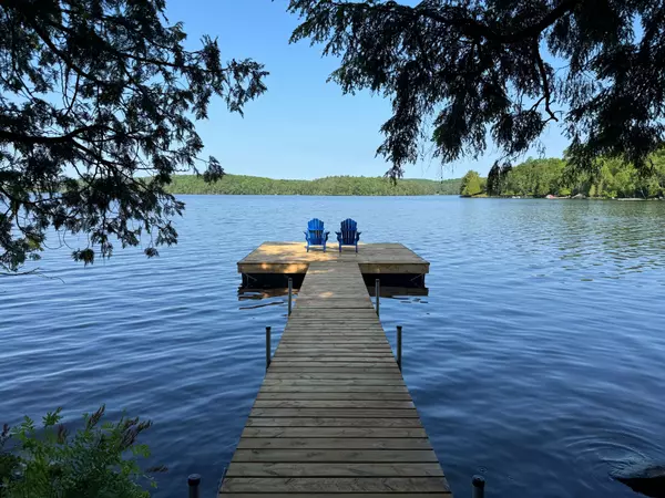 Minden Hills, ON K0M 2K0,0 Soyers Lake RD