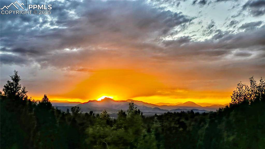 Woodland Park, CO 80863,2169 Spruce RD