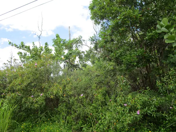 12TH AVE, Keaau, HI 96749