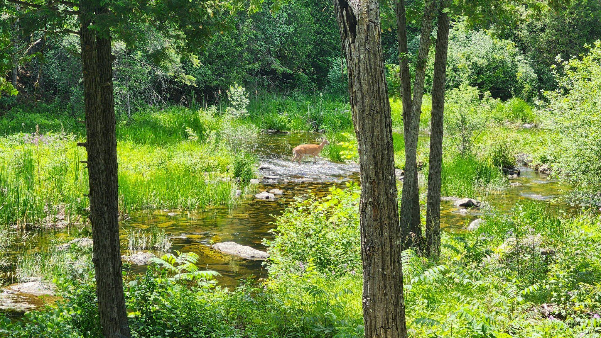 Carp - Dunrobin - Huntley - Fitzroy And Area, ON K0A 1X0,184 Old Pakenham RD