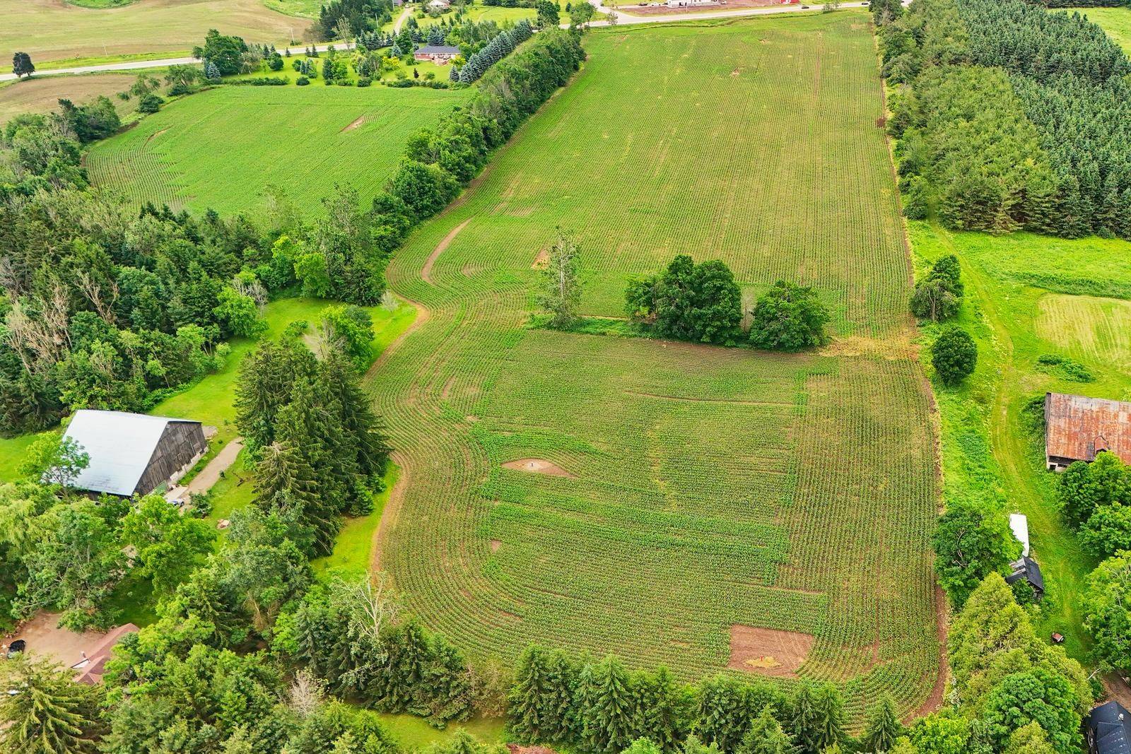 Melancthon, ON L9V 1X6,537086 Main St N/A