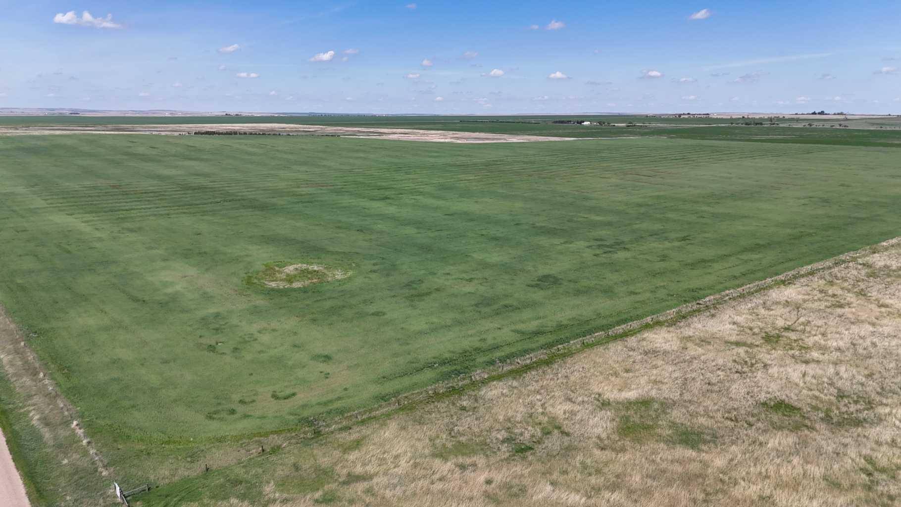 Rural Vulcan County, AB T0L 0R0,Range Road 243