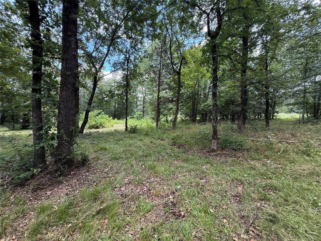 Lone Oak, TX 75453,0000 County Road 1130