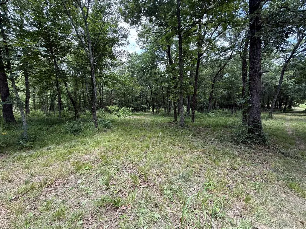 Lone Oak, TX 75453,0000 County Road 1130