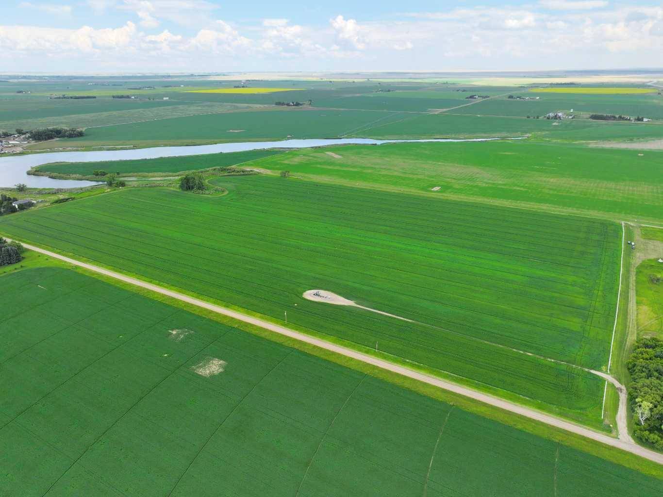 Rural Newell County Of, AB T1R 1C5,141 range RD