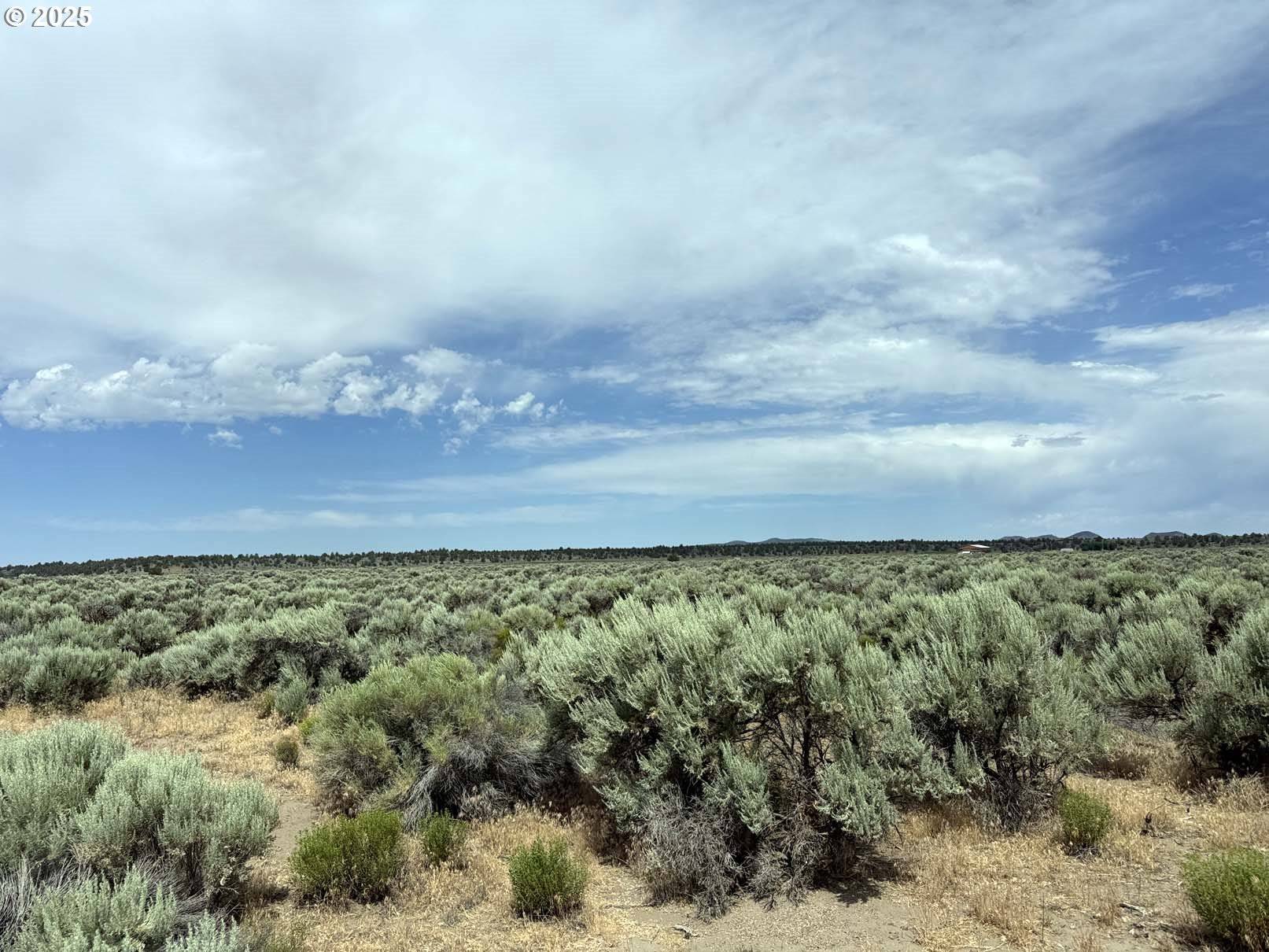 Christmas Valley, OR 97641,Millican Road #1102