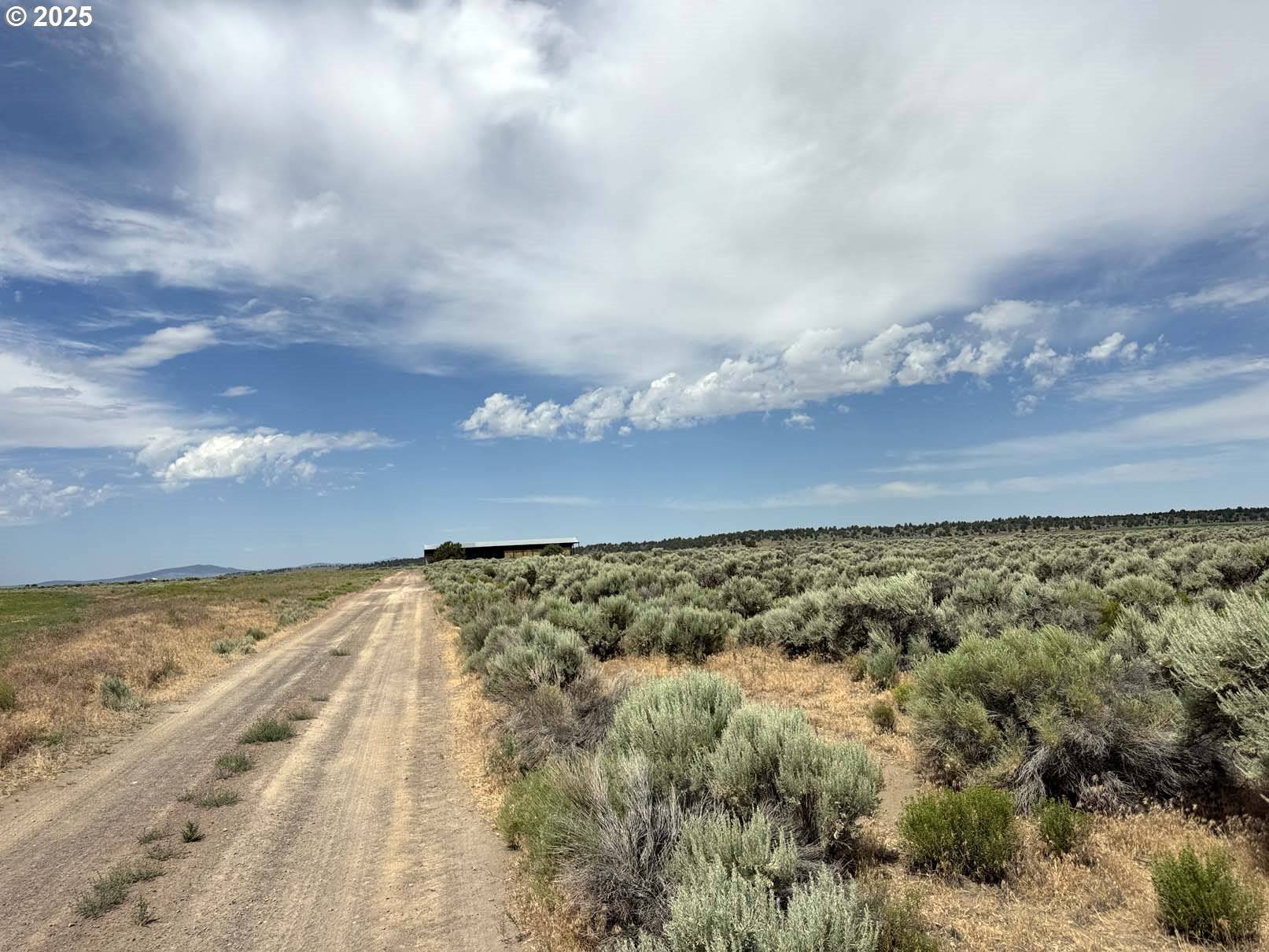 Christmas Valley, OR 97641,Millican Road #1102