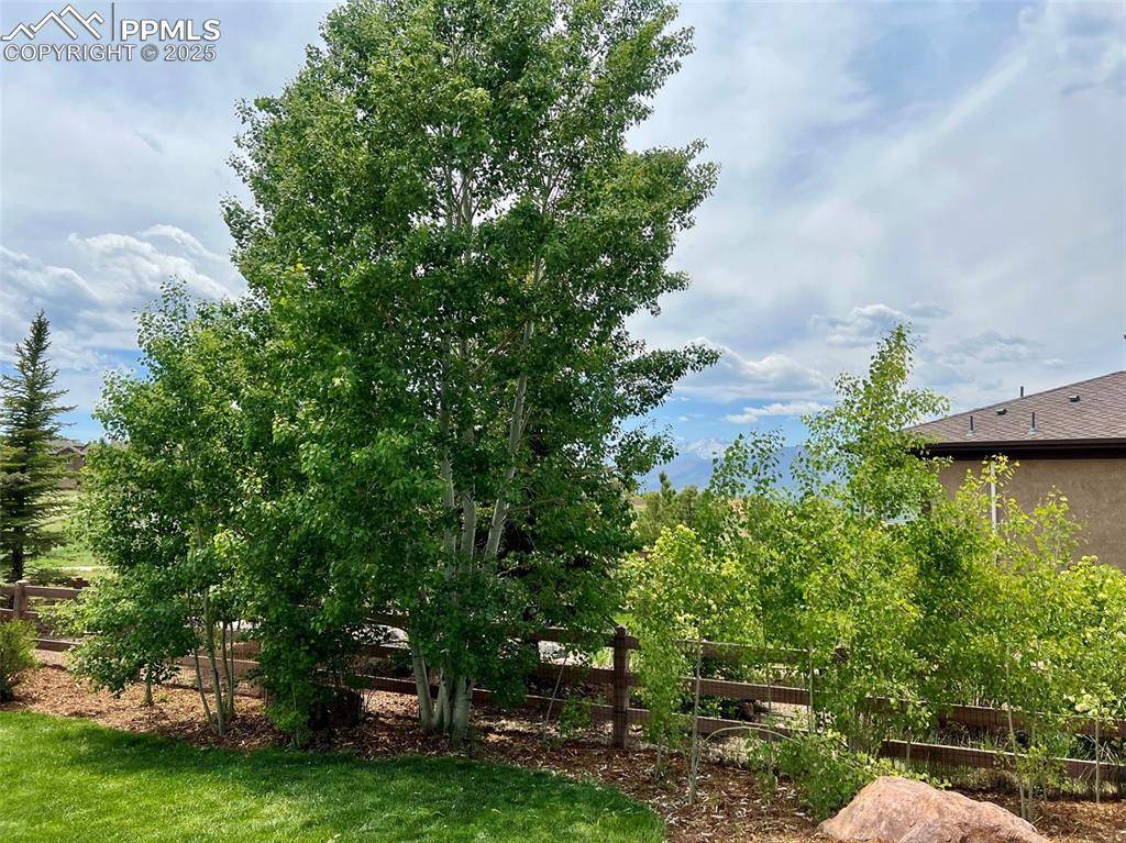 Colorado Springs, CO 80921,13405 Cedarville WAY