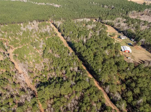 Homer, LA 71040,0 Line Road