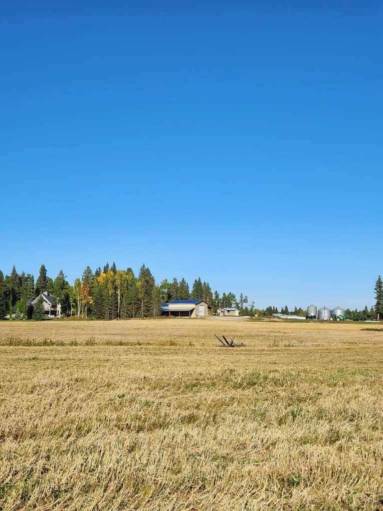 Rural Clearwater County, AB T4T 2A2,383066 and 383054 7-3 Range