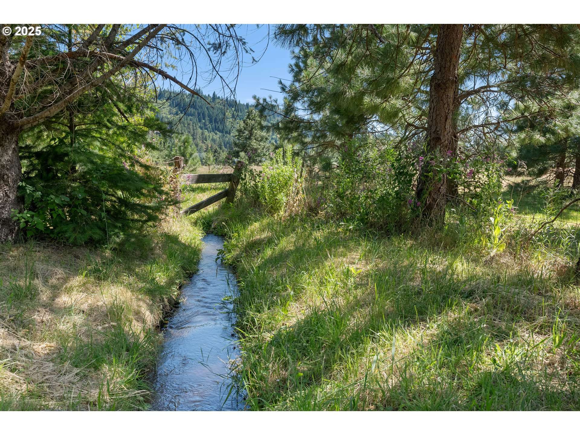 Trout Lake, WA 98650,4 Strong RD