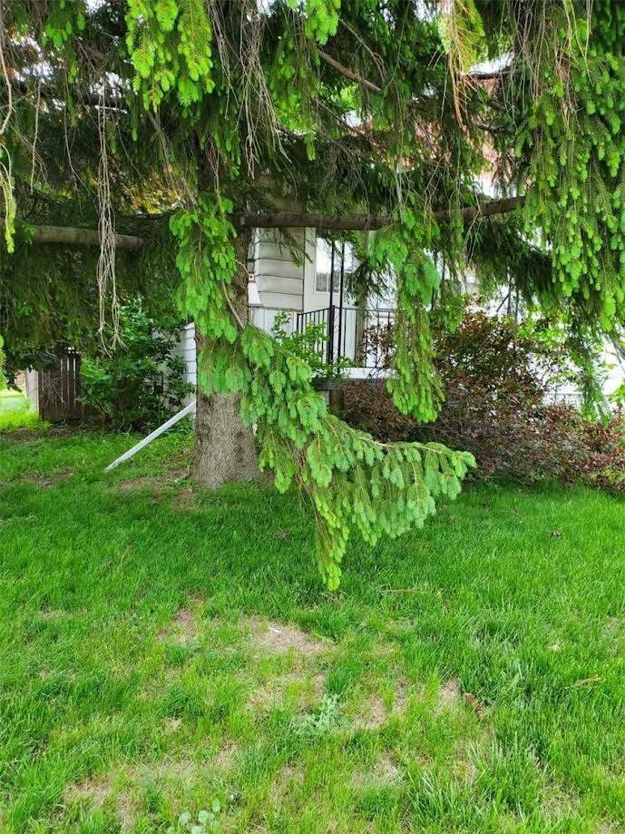 314 West 2nd ST W, Hamilton, ON L9C 3H2