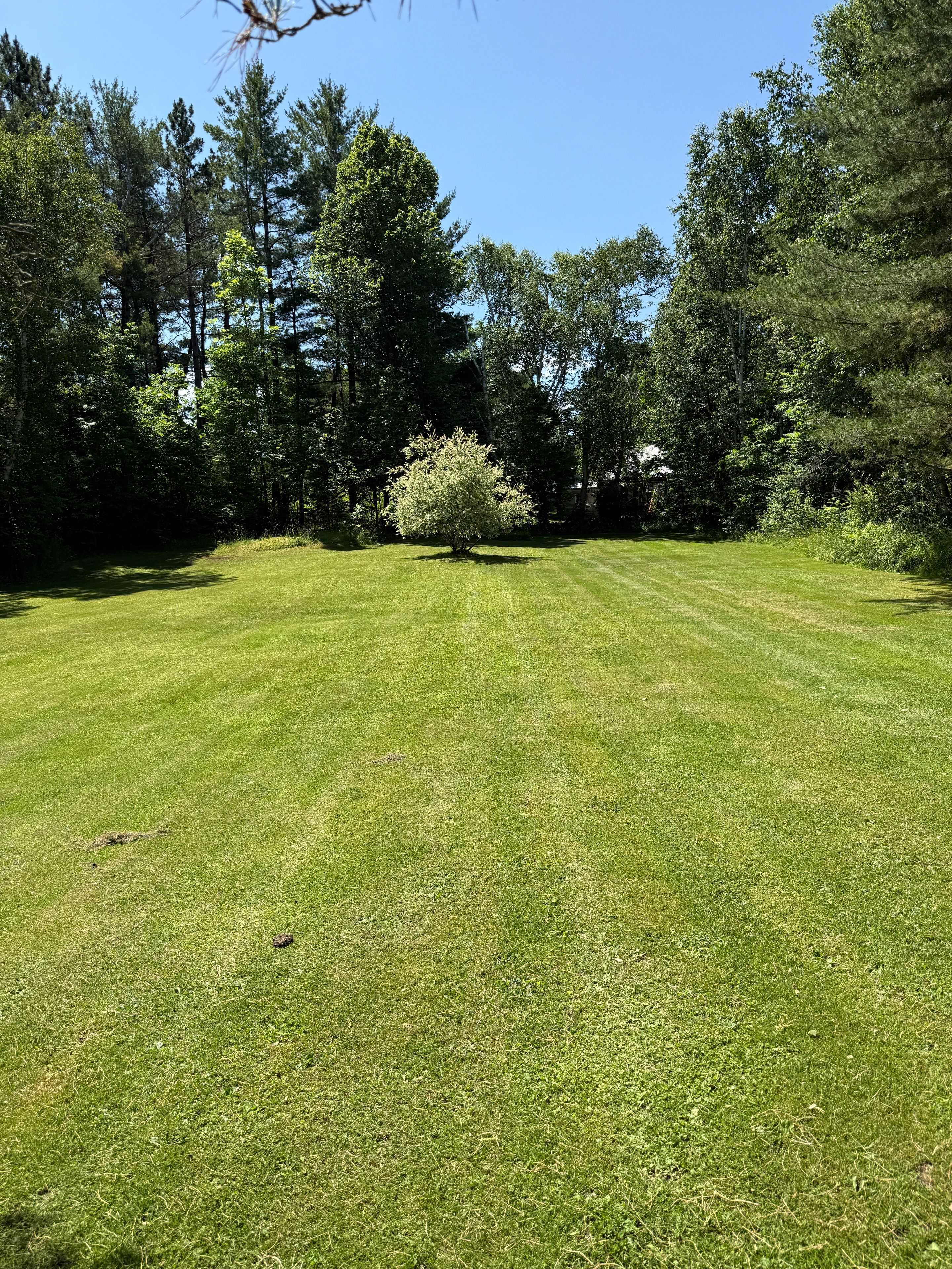 Parry Sound Remote Area, ON P0H 1A0,10709 HWY 522 HWY