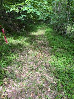 Frontenac, ON K7M 0H2,1085 Old Mine RD