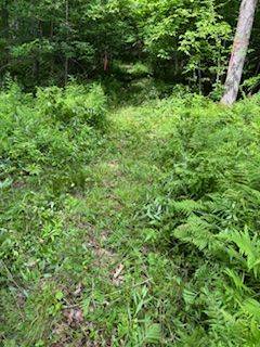 Frontenac, ON K7M 0H2,1085 Old Mine RD