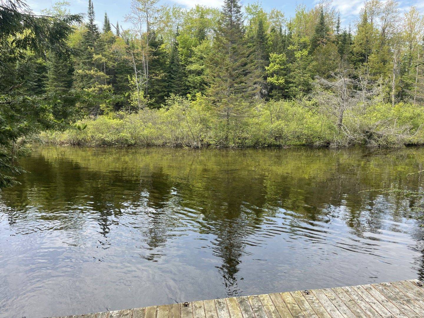 Algonquin Highlands, ON K0M 1S0,1675 Braeloch RD
