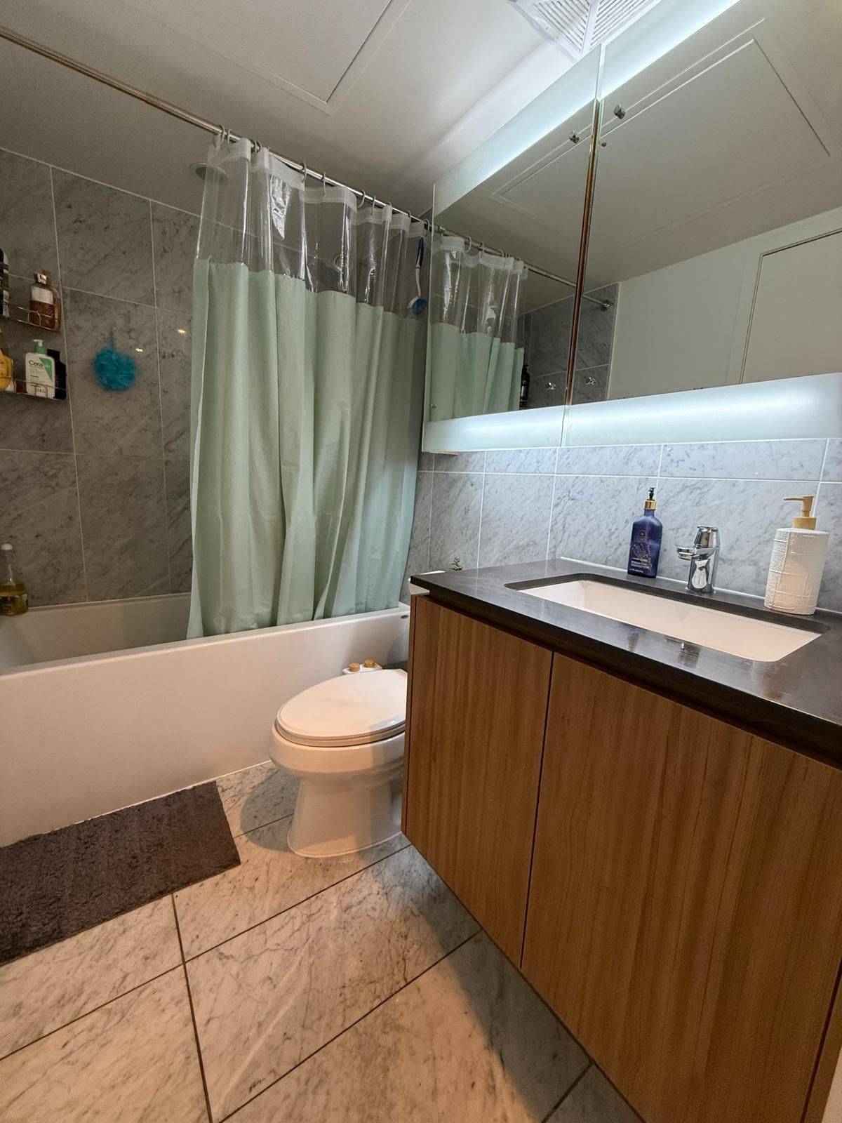 Toronto C01, ON M5V 0J2,70 Queens Wharf RD #1807