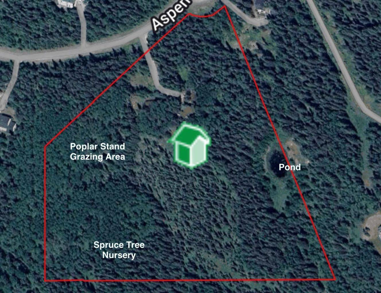 Rural Foothills County, AB T0L 0K0,37 Aspen Creek DR