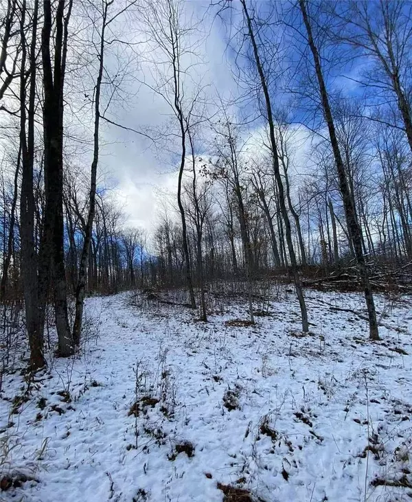 Trent Lakes, ON K0M 2A0,1091 Crystal Lake RD