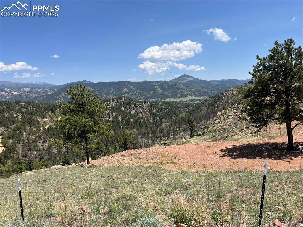Florissant, CO 80816,160 Chateau West DR