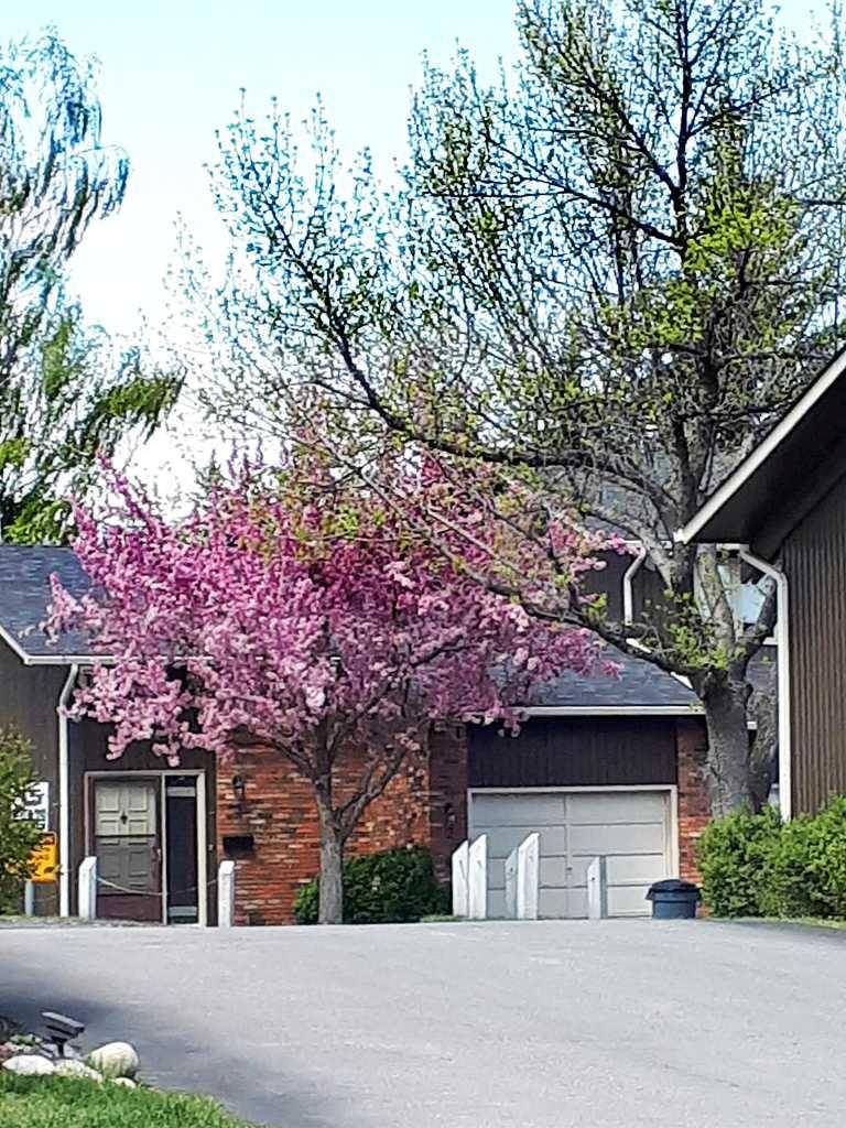 10001 Brookpark BLVD SW #2,  Calgary,  AB T2W 3E3