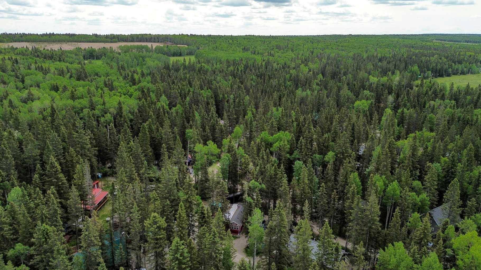 Rural Mountain View County, AB T0M 1X0,5227 Township Road 320 #7