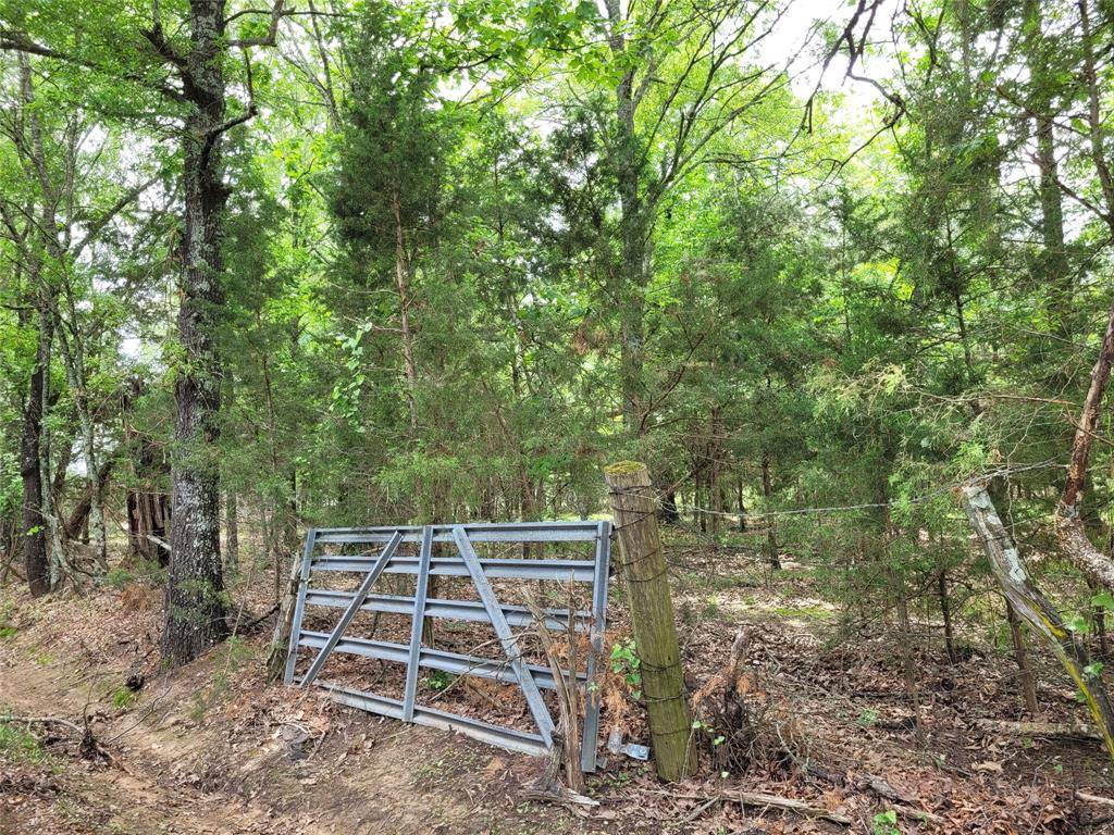 Clarksville, TX 75426,TBD CR 3145