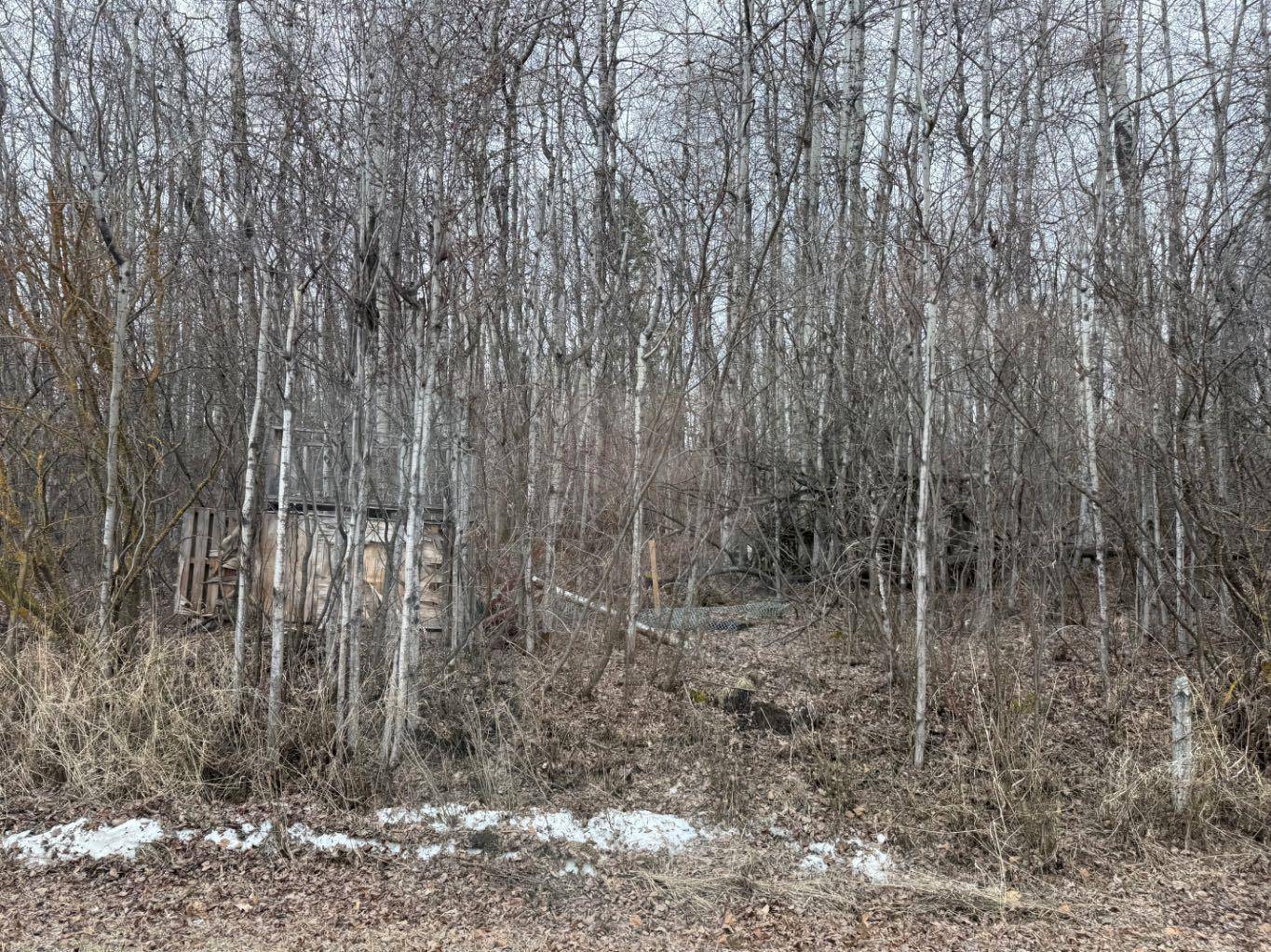 lot 6 Baptiste drive, West Baptiste, AB T9S 1R8