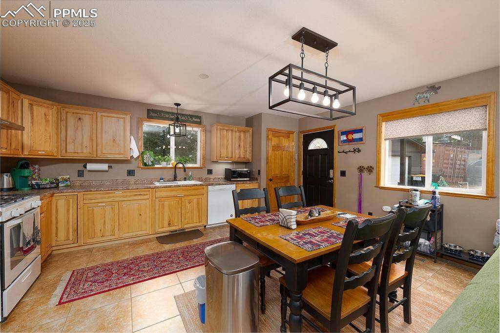 Woodland Park, CO 80863,399 Gardenia RD