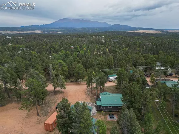 Woodland Park, CO 80863,399 Gardenia RD