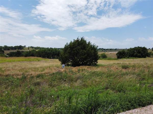 2939 Mattie Ross Road, Granbury, TX 76049