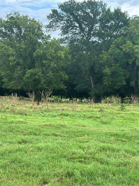Boyd, TX 76023,TBD Abel Lane