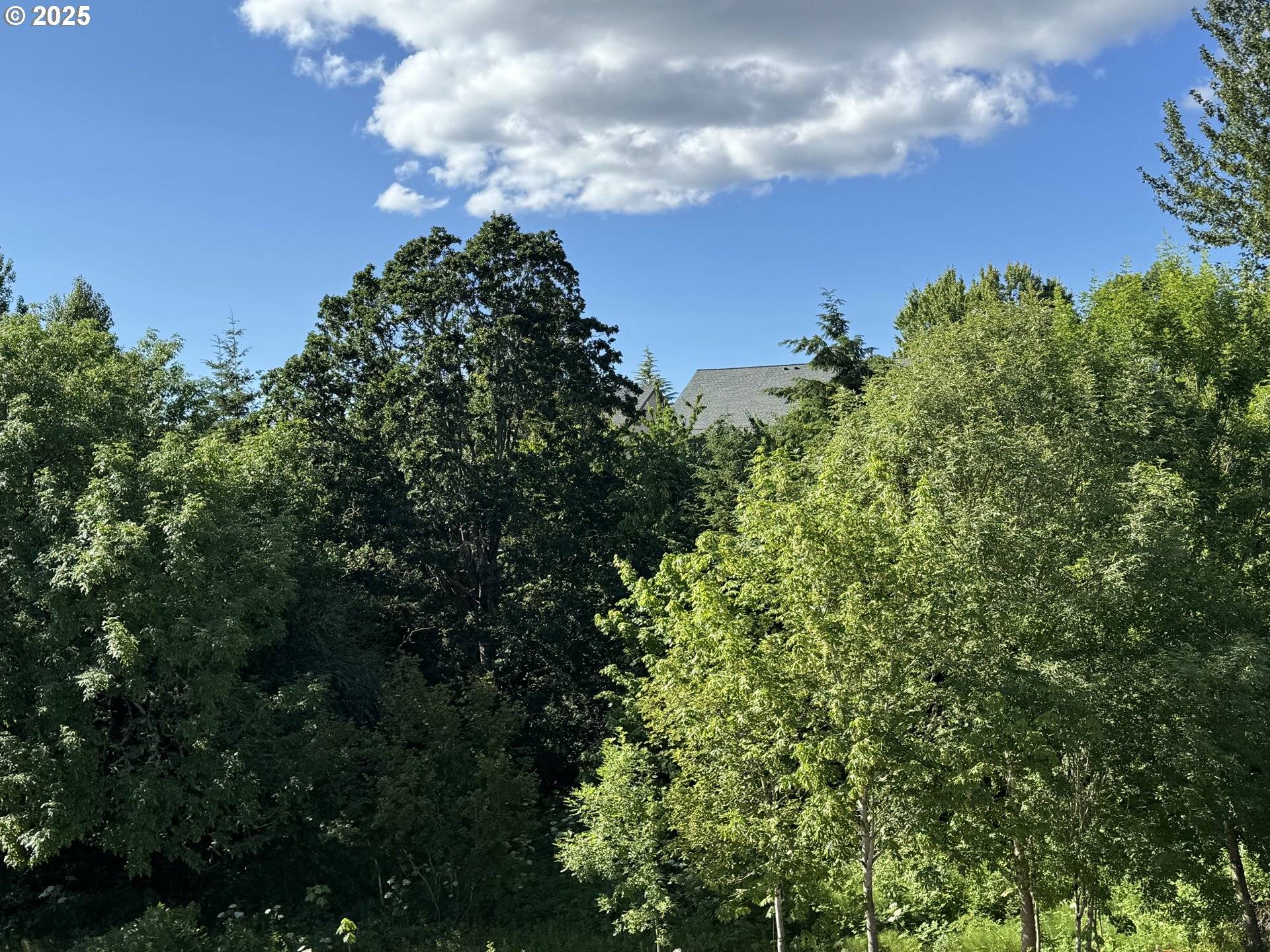 Portland, OR 97229,17733 NW Layla TER #Lot 6