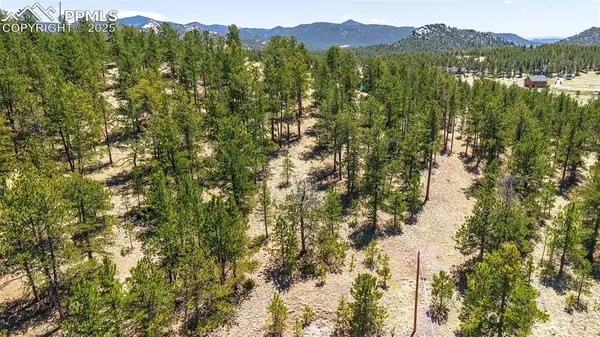 56 Dallas Park CIR, Florissant, CO 80816