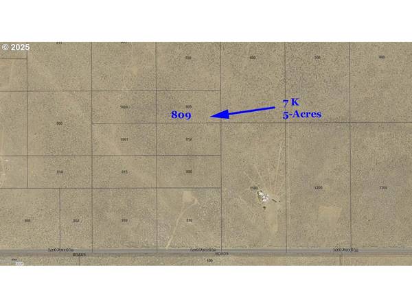 Lost Forest Lane #809, Christmas Valley, OR 97641