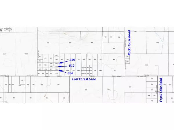 Christmas Valley, OR 97641,Lost Forest Lane #809