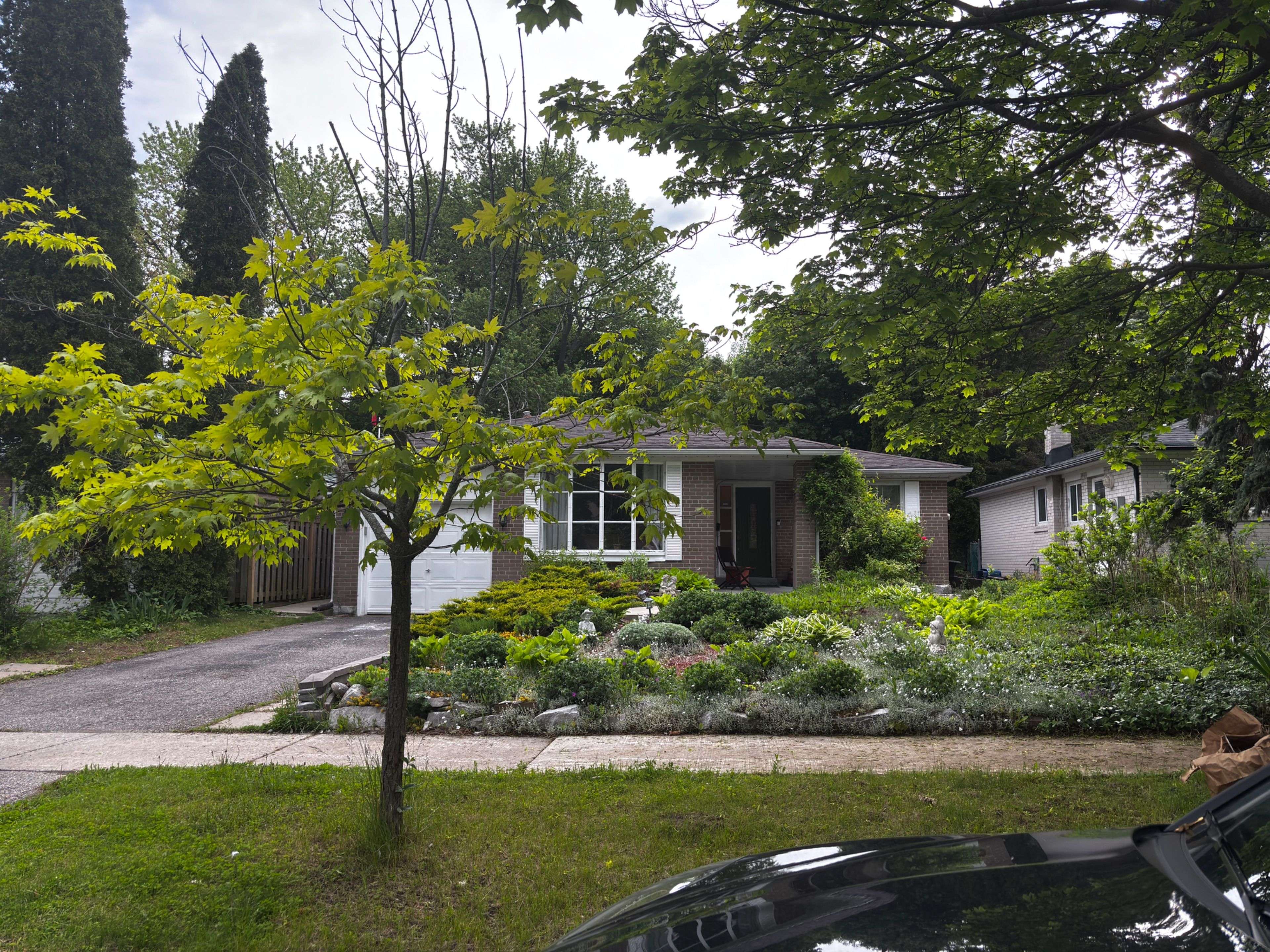 167 Merkley SQ #Basement Apt, Toronto E09, ON M1G 2Z1