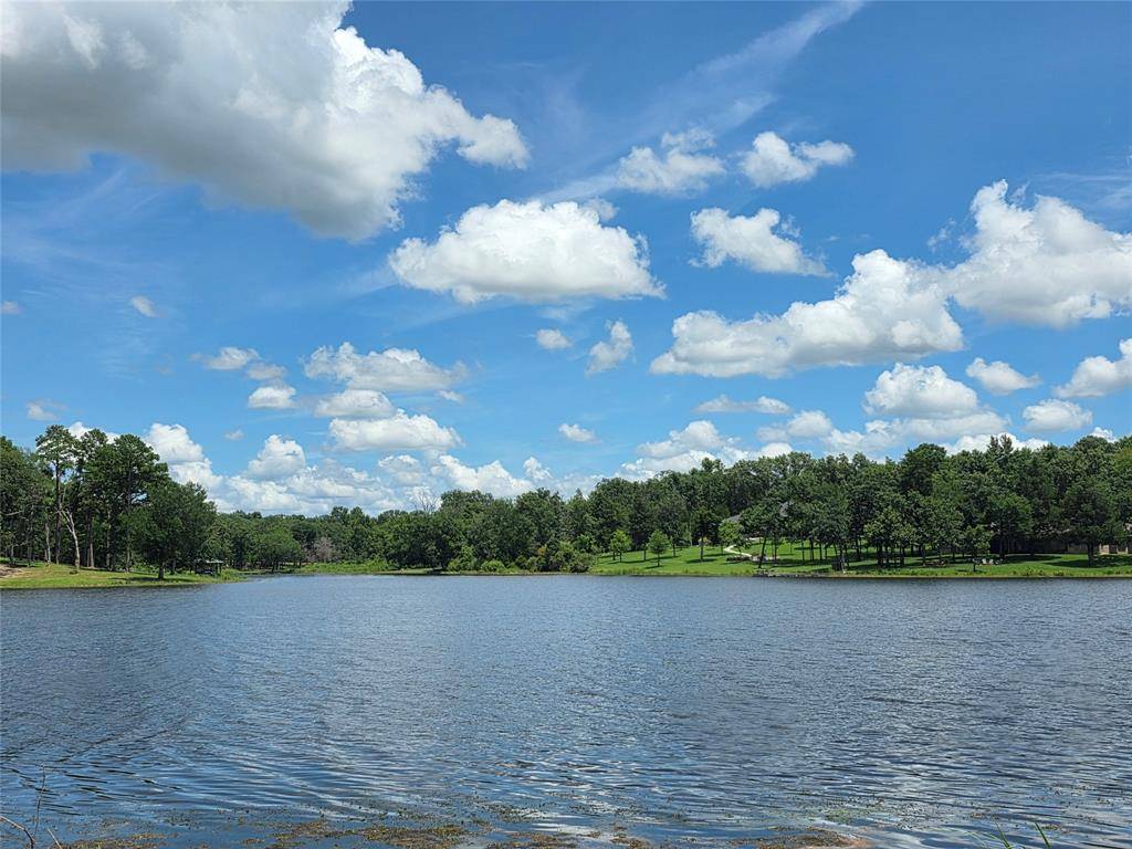 Larue, TX 75770,Lot 223 Safari Shores Drive