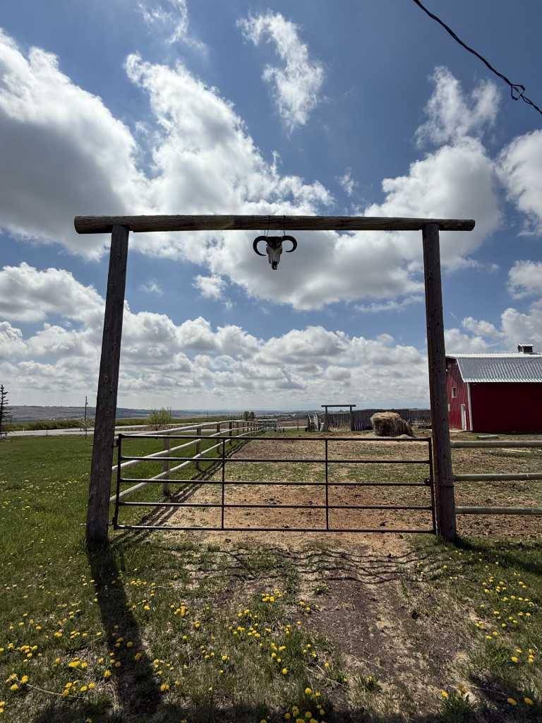 Rural Foothills County, AB T1S 6A7,386243 16 ST W