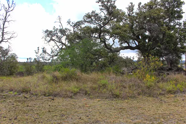 Ocean View, HI 96737,BOUGAINVILLAEA DR