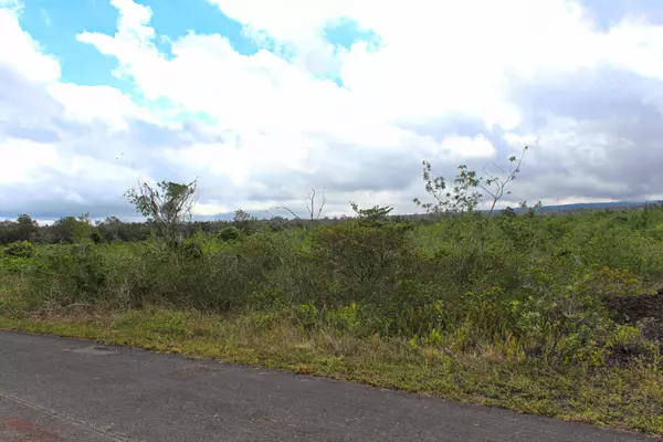 Ocean View, HI 96737,BOUGAINVILLAEA DR